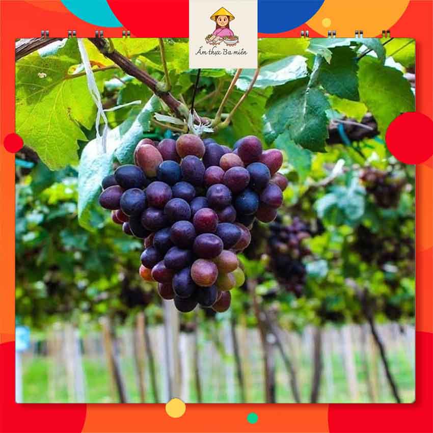 đặc sản Lagi Bình Thuận làm quà