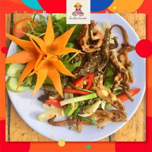 thằn lằn núi Tây Ninh